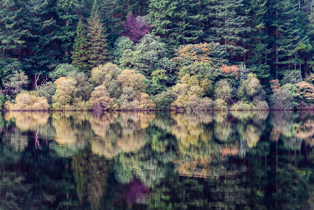 Lake Vyrnwy