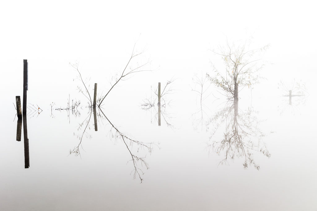 Foggy morning walk